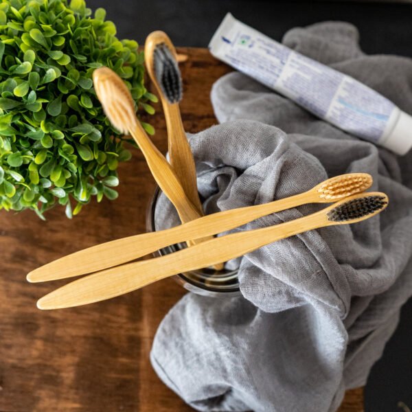 Natural Bamboo Toothbrush Set of 4 (2 Charcoal bristles, 2 Bamboo bristles) freeshipping - fabartistry